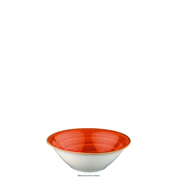 Detailbild: Aura Terracotta Gourmet Schale 16cm; 40cl - 12 Stück Ansicht 2